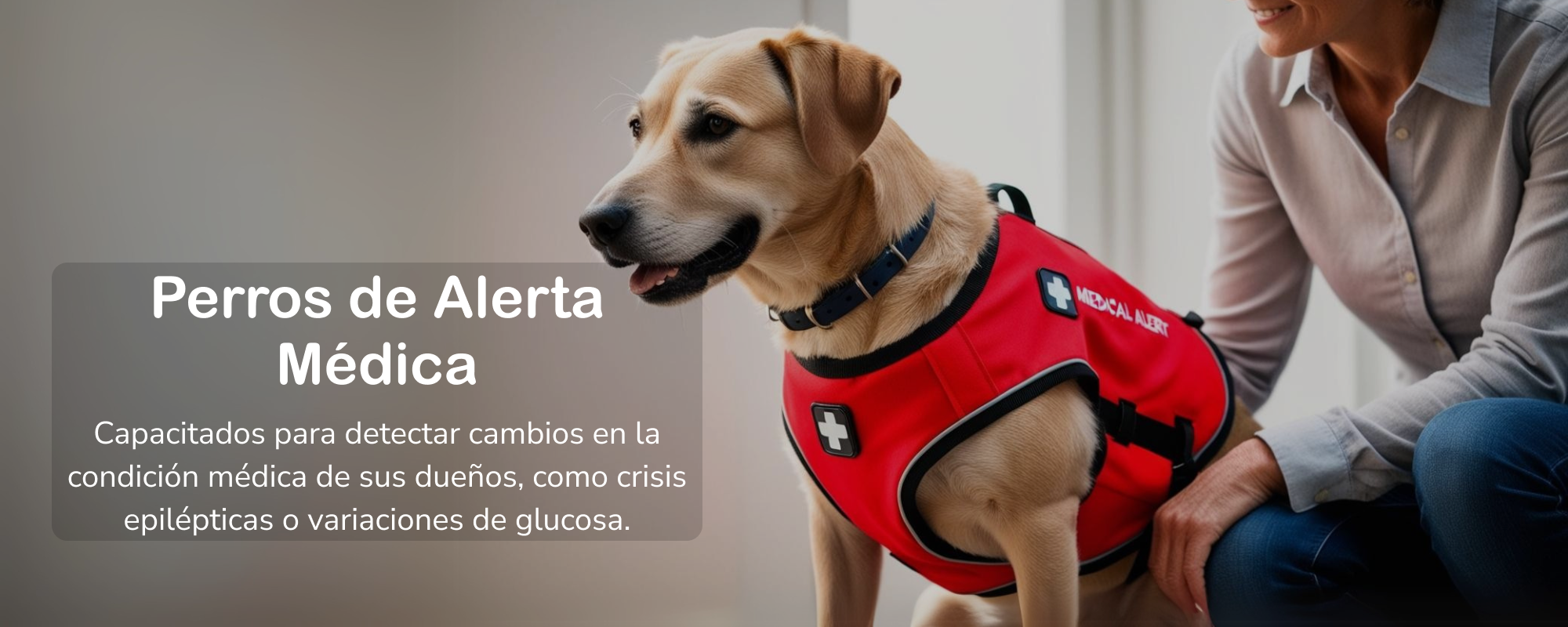 Imagen para carrusel-1