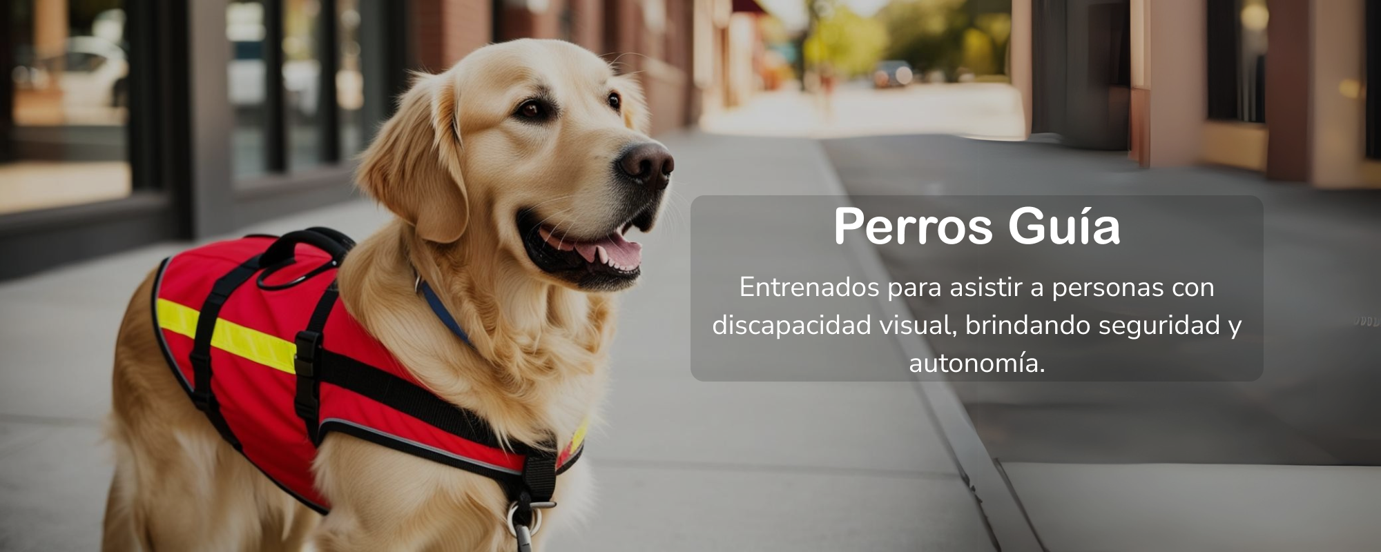 Imagen para carrusel